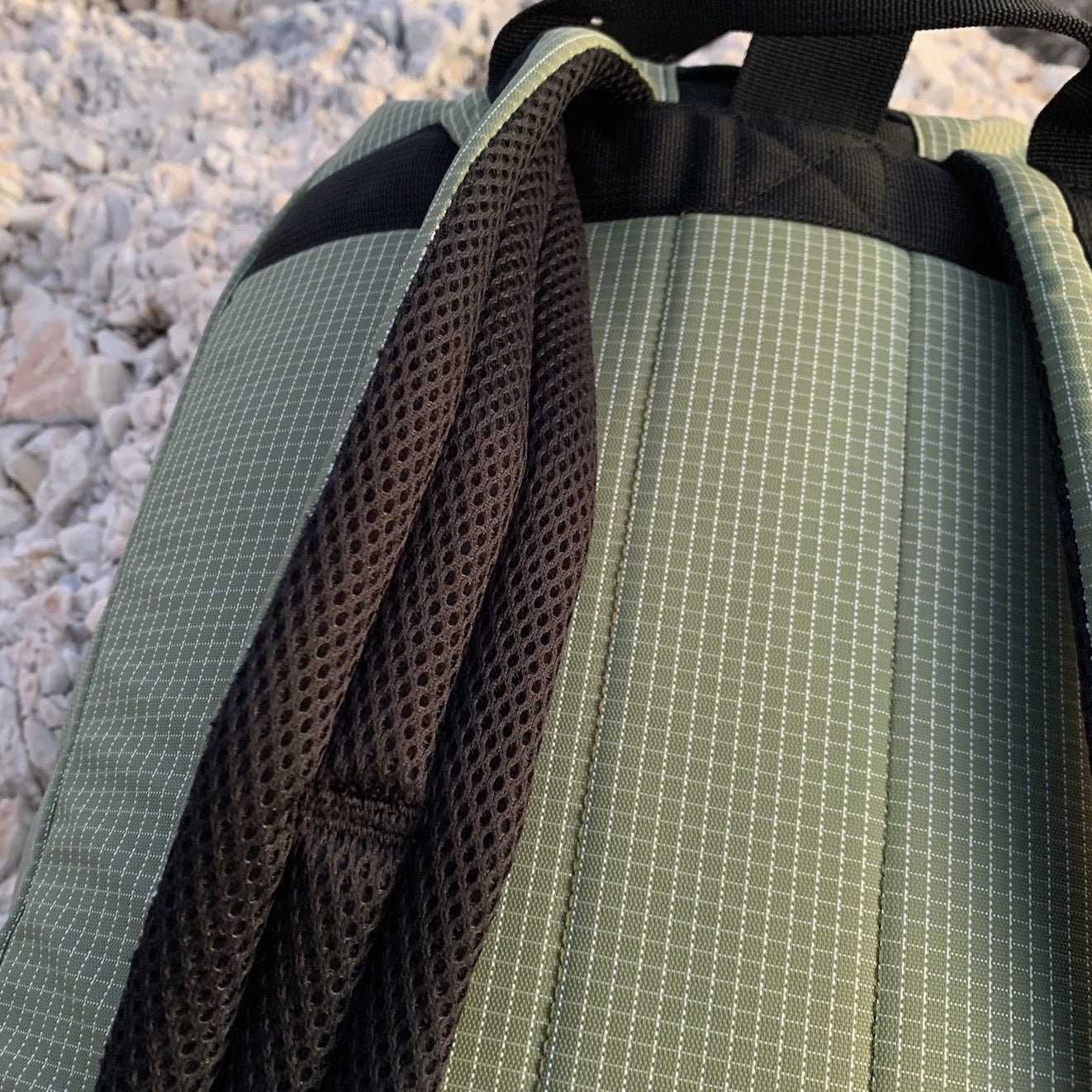 Olive & Khaki